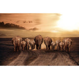 F&S Diamond Painting Store Elephants Group