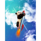F&S Diamond Painting Store Panda And Rocket
