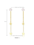 Star Pattern Long Earrings
