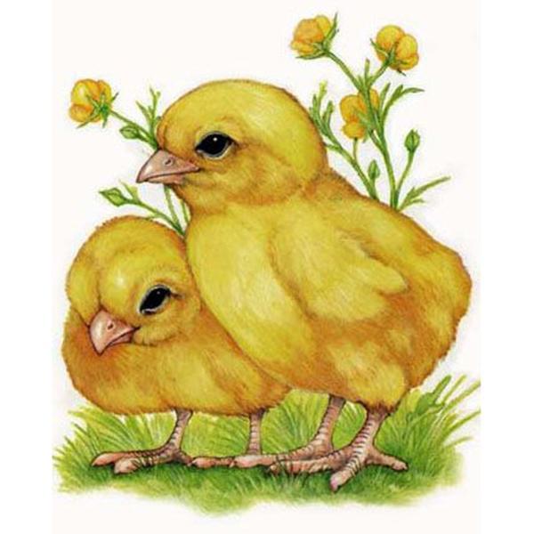 F&S Diamond Painting Store Two Little Yellow Chicks