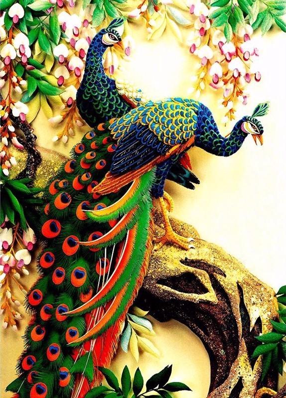 F&S Diamond Painting Store Two Peacocks