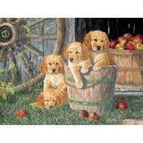 F&S Diamond Painting Store Puppies In The Bucket