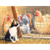 F&S Diamond Painting Store Contact With Cats And Chickens