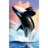F&S Diamond Painting Store Orca with Super Jump
