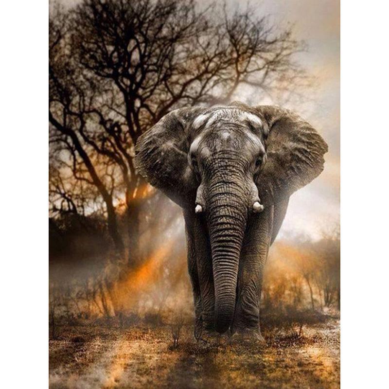 F&S Diamond Painting Store Beautiful Elephant 20x25cm
