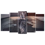 F&S Diamond Painting Store 5 Li¨¨ge Cat Mirror image Tiger