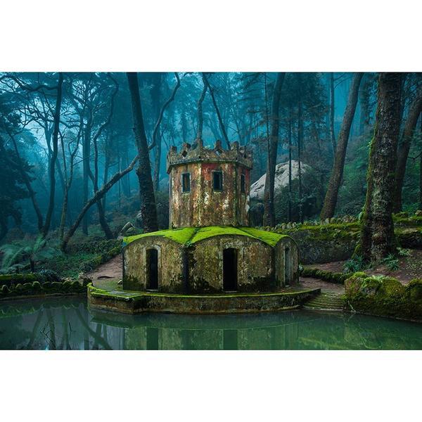 F&S Diamond Painting Store Abandoned Castle In The Forest