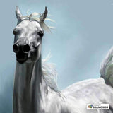 F&S Diamond Painting Kit Arabian Horse
