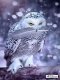 F&S Diamond Painting Kit Arctic Owl