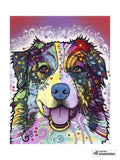 F&S Diamond Painting Kit Australian Shepherd