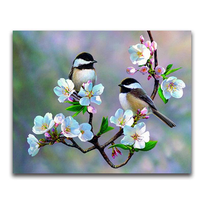 F&S Diamond Painting Store Birds and Orchids