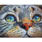 F&S Diamond Painting Store Cat face up close