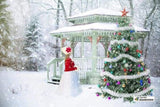 F&S Diamond Painting Kit Christmas Scene