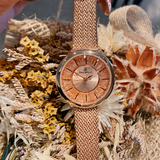 Shining Dial Mesh Strap Women's Wristwatch