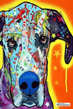 F&S Diamond Painting Kit Great Dane