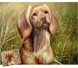 Personalized Oil Painting From Photos, handcraft art on Canvas-Show Case JTO101565-36