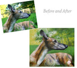 F&S Gift Store Custom Realistic Pet Portrait Oil Painting. Custom Oil Painting. Commission Pet Portrait. Photo to Painting.2 Payments. Made in USA