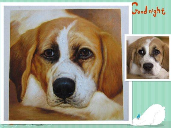 F&S Gift Store Hand Painted Animal Pet Cat Portrait Oil Painting On Canvas ,Custom Oil Painting Wall Art Home Decor