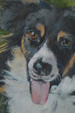 F&S Gift Store Custom Pet Portrait, Original Painting, Custom Portraits, 12x16 inches, Art, Dogs
