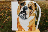 Personalized Oil Painting From Photos, handcraft art on Canvas-Show Case DFC101041-12