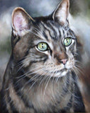 Personalized Oil Painting From Photos, handcraft art on Canvas-Show Case NCD100381-20