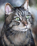 F&S Gift Store Cat Pet Cat Portrait, Custom Pet Portrait, Pet Oil Painting, 8x10, Animal Painting, Custom Cat Portrait