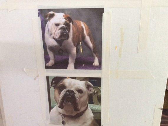 Personalized Oil Painting From Photos, handcraft art on Canvas-Show Case INS102312-24