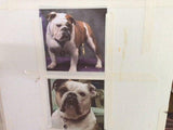 Personalized Oil Painting From Photos, handcraft art on Canvas-Show Case INS102312-24