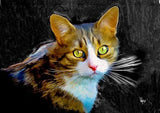 Personalized Oil Painting From Photos, handcraft art on Canvas-Show Case RSF100635-48