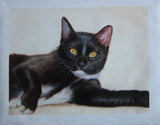 Personalized Oil Painting From Photos, handcraft art on Canvas-Show Case OPI101847-20