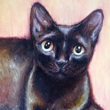 F&S Gift Store CUSTOM Tabby Cat Oil Painting, Pet Portrait, Made To Order, Personalised Gift/Anniversary/Birthday/Christmas Gift, Tortoiseshell Kitten