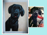 Personalized Oil Painting From Photos, handcraft art on Canvas-Show Case OAN101528-12