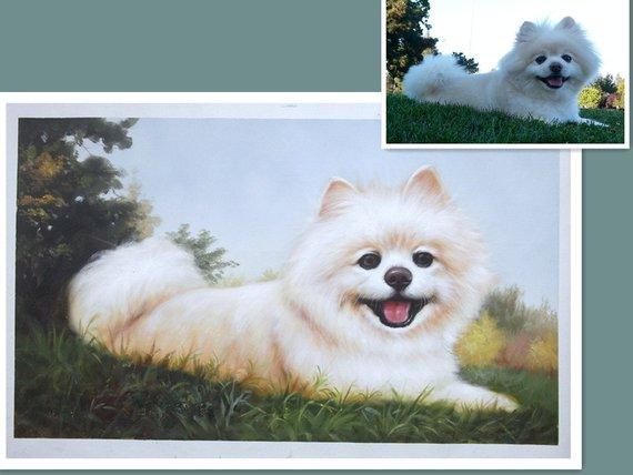 F&S Gift Store Hand Painted Animal Pet Cat Portrait Oil Painting On Canvas ,Custom Oil Painting Wall Art Home Decor
