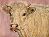F&S Gift Store CUSTOM Highland Cow Oil Painting, Calf Bull Cattle Farm Animal Portrait, Made To Order Personalised Anniversary/Christmas/Birthday Scottish