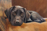 F&S Gift Store CUSTOM PET PORTRAIT - Miniature portrait - Small Painting - Lab Painting - Oil Painting