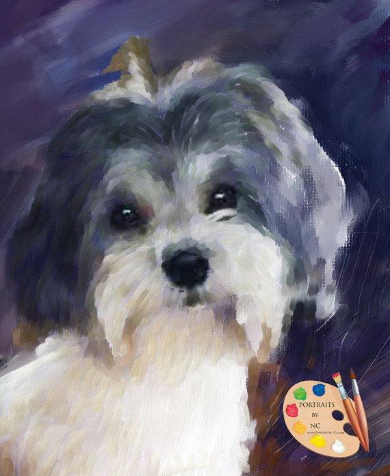 F&S Gift Store Havanese Dog Portrait - Havanese Dog Painting from your Photo - Portraits-by-Nc