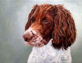 F&S Gift Store Hunting Dog Portrait in oils. Custom Dog portrait from photo. I will capture the character of your much loved dog in a quality oil painting.