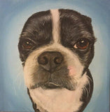 F&S Gift Store 10x10x1.5â€?Custom pet painting portrait on canvas from photo oil or acrylic original dog cat Boston terrier art lavender decor