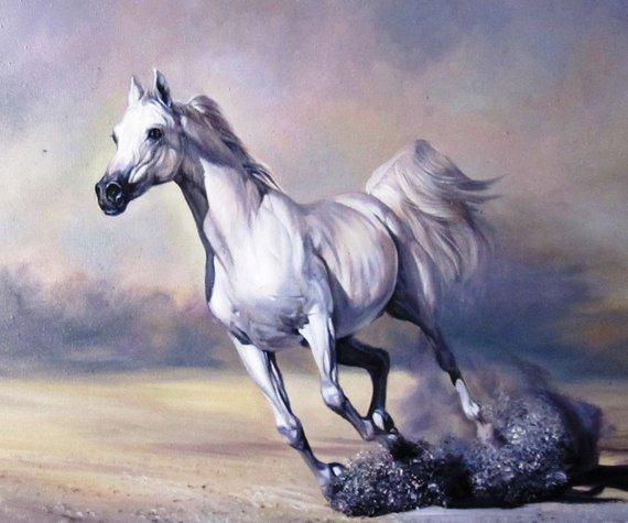 F&S Gift Store Horse Painting, White Horse, Horse Oil Painting on Canvas, Realism, Custom Oil Painting, Horse portrait, Gift for The Holiday
