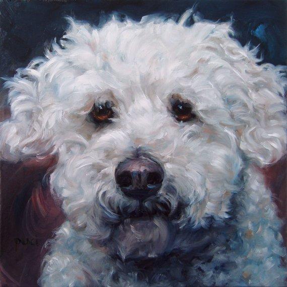 F&S Gift Store MiniPoo Pet Portrait, CUSTOM Pet Portrait Oil Painting by puci, 8x8"
