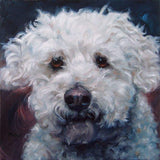 Personalized Oil Painting From Photos, handcraft art on Canvas-Show Case QIN101992-48