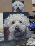 F&S Gift Store MiniPoo Pet Portrait, CUSTOM Pet Portrait Oil Painting by puci, 8x8"