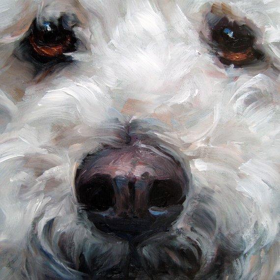 F&S Gift Store MiniPoo Pet Portrait, CUSTOM Pet Portrait Oil Painting by puci, 8x8"
