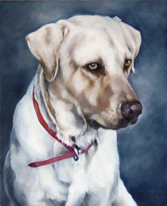F&S Gift Store Pet Custom Painting, Portrait, Dog Portrait, Animal Art, Custom Paintings, Oil Painting, 8x10