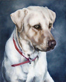 F&S Gift Store Pet Custom Painting, Portrait, Dog Portrait, Animal Art, Custom Paintings, Oil Painting, 8x10