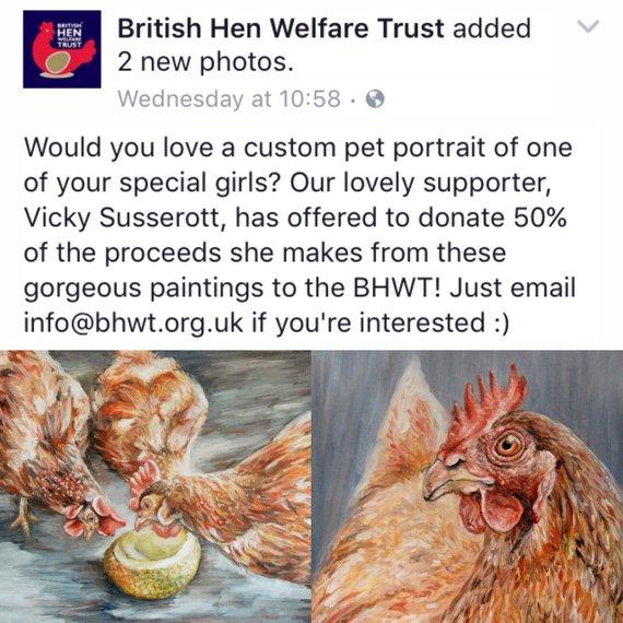 F&S Gift Store CUSTOM Chicken Oil Painting - British Hen Welfare Trust BHWT Donation. Birthday Present, Paper Anniversary Farm Animal Artwork Portrait