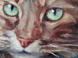 F&S Gift Store CoolMaineCoon, cat painting custom Pet Portrait Oil Painting by puci, 8x8"