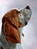 F&S Gift Store Pet Portrait, Pet Oil painting, Custom Pet painting, Pet portraits, Pet memorial, Pet Lover gift for her or him, Commission a pet portrait.