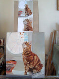 Personalized Oil Painting From Photos, handcraft art on Canvas-Show Case EKJ101937-36