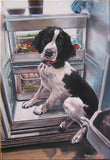 F&S Gift Store Pet portraits, Oil paintings, commission pet portraits, dog paintings, my dog, painting from photo, paint my pet, hand drawn, original